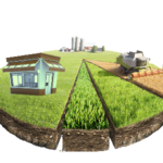 CHOICE OF LANDS, FLATS & SHOP